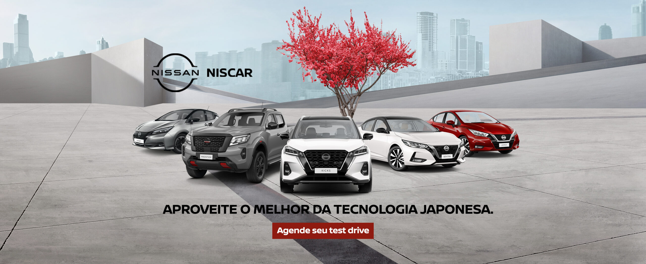 Nissan Niscar – Mês do Consumidor